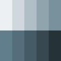 Grey Shade Variation Color Palette