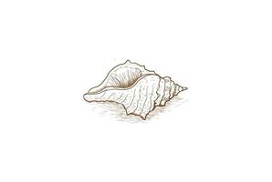 Retro Vintage Hand Draw Sketch Ocean Seashell Nautilus Logo Design Vector