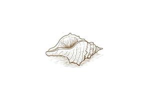 Retro Vintage Hand Draw Sketch Ocean Seashell Nautilus Logo Design Vector