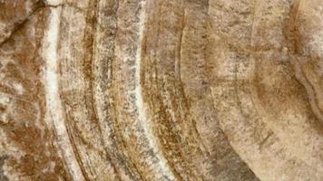 Abstract texture marble surface texture for background.. photo