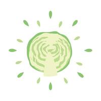 Abstract juicy cabbage icon with splash on white background - Vector