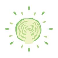 Abstract juicy cabbage icon with splash on white background - Vector