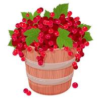 Wooden bucket with red currant berries. Cartoon style. Cute illustration. Vector illustration. Isolated on white.