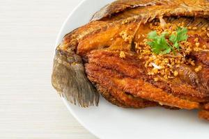 Fried Sea Bass Fish with Garlic photo