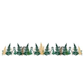 Fern horizontal banner. Vector stock illustration. Isolated on a white background. Summer. Dark green foliage. Forest frame.