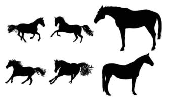 colección de siluetas de caballos en fondo blanco vector