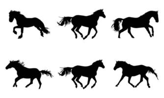 Collection of horses silhouettes set  on white background vector