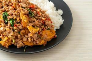 stir-fried minced pork with basil and egg topped on rice photo