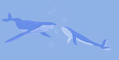 Whales vector stock illustration. A pair of marine animals at the depth of the ocean. Humpback whales in the water. A horizontal banner. Isolated on a blue background.