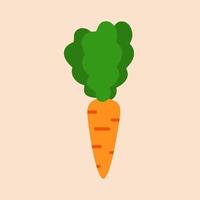 fresh Carrot, vegetable, food, vector flat style. Vector orange flat carrot icon. Vector vegetable symbol in flat style.