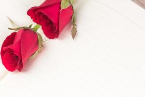 Red rose on notebook background photo