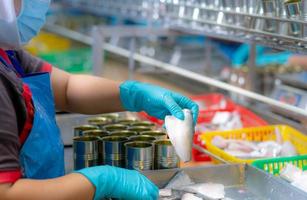 Worker working in canned food factory. Food industry. Canned fish factory. Worker's hand holding sardine to fill in a can. Worker in food processing production line. Food manufacturing industry. photo