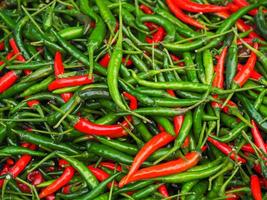 Full frame photo of fresh chilies colorful for sale in fresh market