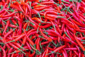 Full frame photo of red chilies pepper for sale in market