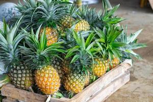 Pile of fresh pineapples for sale in the market photo