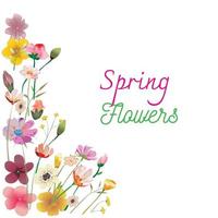 Spring Flowers Background vector