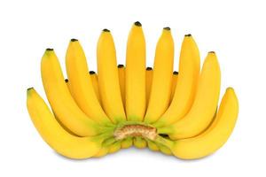 Bunch of bananas isolated on white background photo