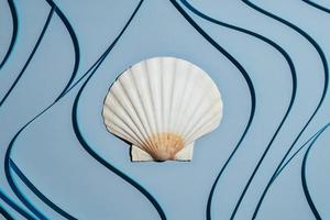 Scallop seashell on blue background with blue stripes photo