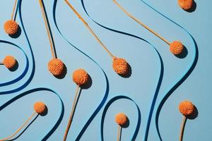 Blue background with soft line stripes with Dry Craspedia Billy Balls photo