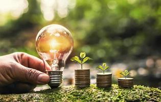 hand holding light bulb on green grass with young plant growing on coins stack. saving power energy and save money photo