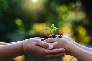 two hand holding small tree for planting. concept earth day photo