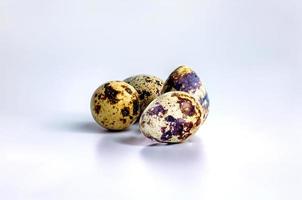 The egg of quail photo