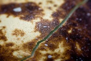 Close Up The egg of quail photo