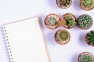 Notebooks with cactus laid around. photo