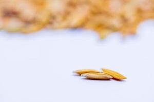 Close up The flavor up the wet grain on the white background. photo