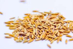 Close up The flavor up the wet grain on the white background. photo