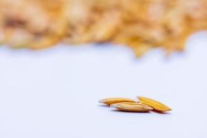 Close up The flavor up the wet grain on the white background. photo