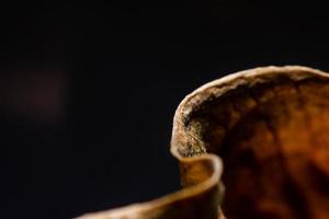 Close Up The edges of dried leaves photo