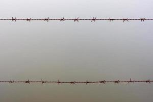 close up old barbed wire fence photo