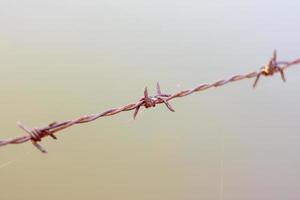 close up old barbed wire fence photo