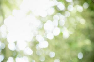 Abstract blurred out of focus and blurred greenery background under sunlight with bokeh and copy space using as background natural plants landscape, ecology wallpaper concept. photo