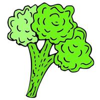 Bright and juicy illustration of celery, on a white background. eps10 vector