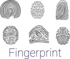 Set of various fingerprints loops, curls, patterns Vector illustration esp 10