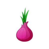 onion vector isolated on white background