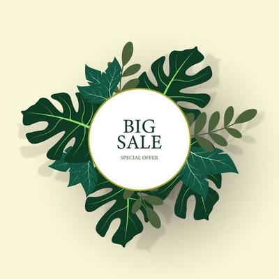 Sale background with tropical leaves.