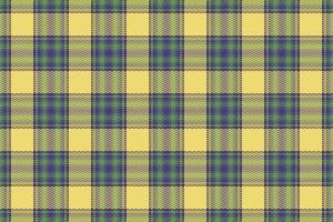 Tartan plaid pattern with texture and nature color. vector