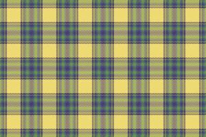 Tartan plaid pattern with texture and nature color. vector