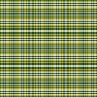 Tartan plaid pattern with texture and nature color. vector