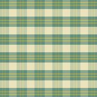 Tartan plaid pattern with texture and nature color. vector