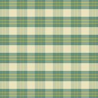 Tartan plaid pattern with texture and nature color. vector