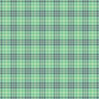 Tartan plaid pattern with texture and nature color. vector