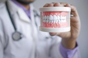 Doctor mano sujetando el modelo de dientes dentales de plástico en la mesa foto