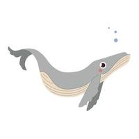Cute whale vector illustration isolated on a white background. Sea ocean animal character