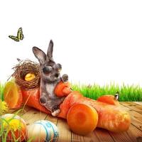 Funny Easter bunny. Happy Easter holiday concept. photo