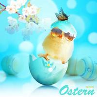 Funny cute baby chick with sunglasses and egg. photo