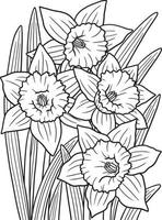 Daffodil Flower Coloring Page for Adults vector